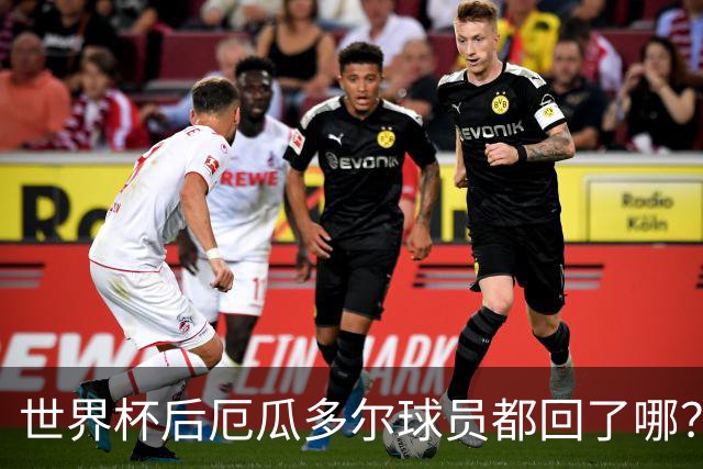 世界杯后厄瓜多尔球员都回了哪？输给墨西哥后他们各归其主