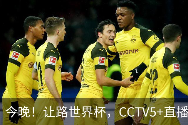 今晚！让路世界杯，CCTV5+直播中国女排VS法国，小将领衔冲击5连胜